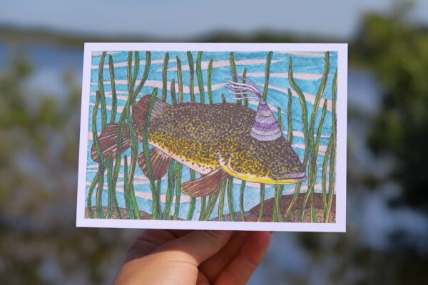 Murray Cod Fish Greeting Card