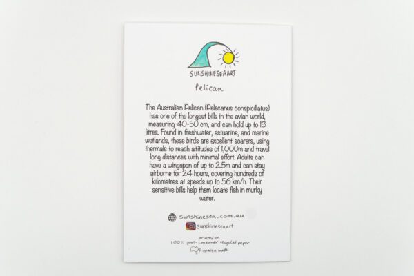 Pelican - Image 2