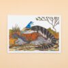 Blue-Tongue Lizard