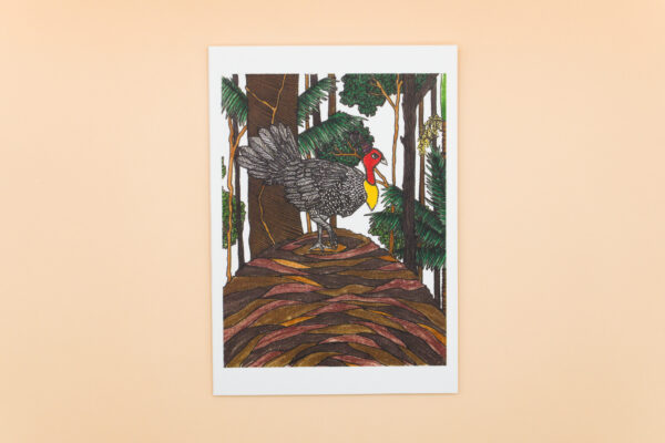Bush Turkey
