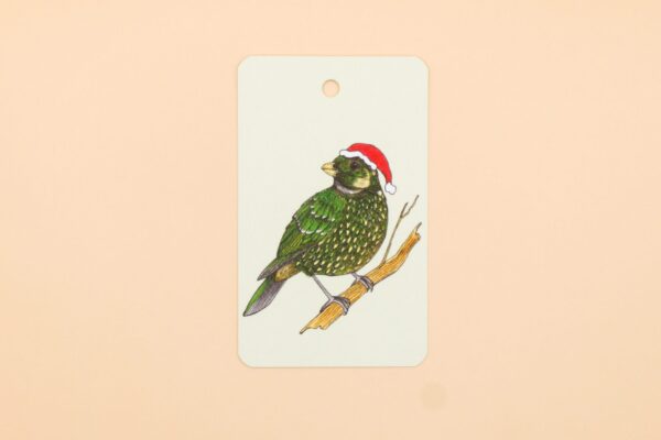 Cat Bird Gift Tag 4 Pack