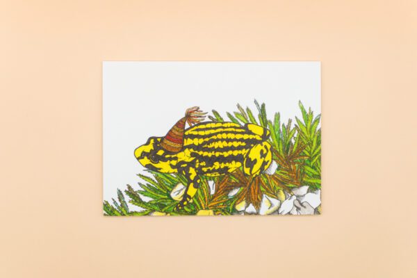Southern Corroboree Frog