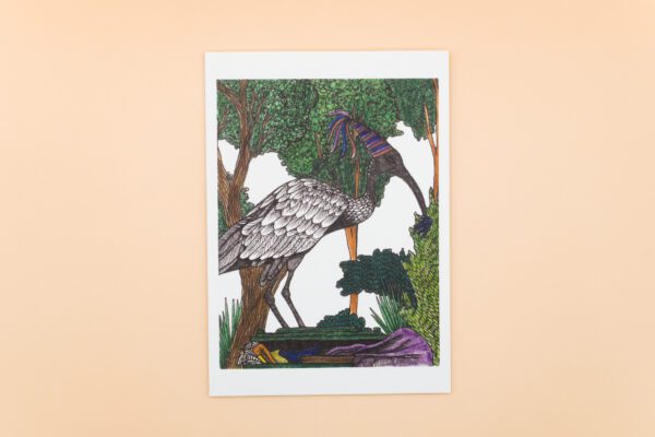 Ibis