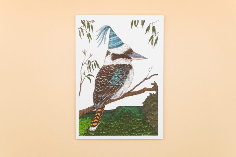 Kookaburra p