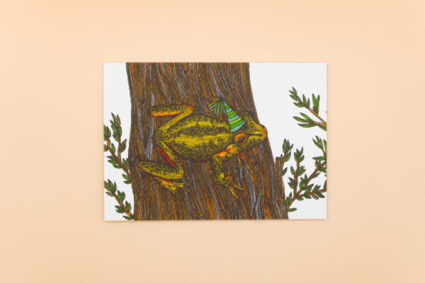 Little Johns Tree Frog