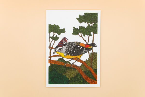Spotted Pardalote