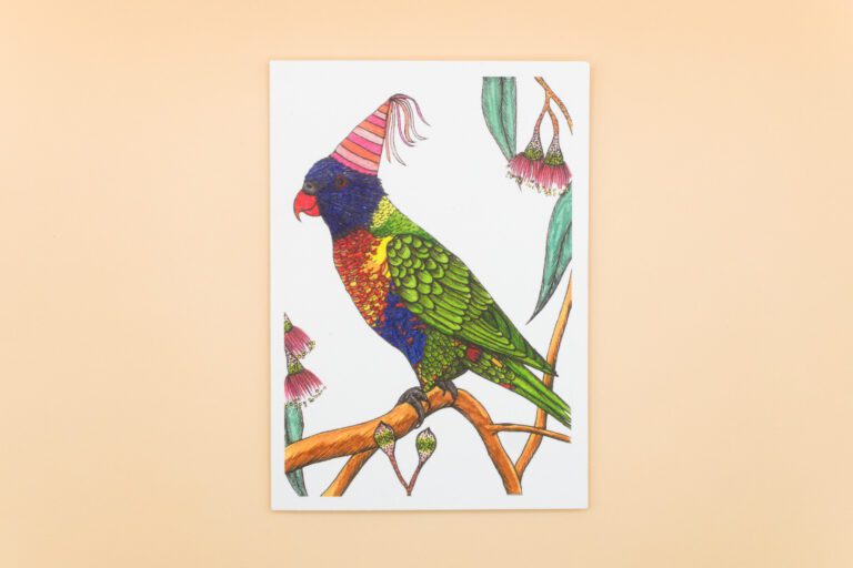 Rainbow Lorikeet p