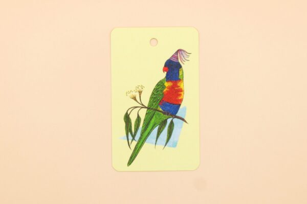 Rainbow Lorikeet Gift Tag 4 Pack