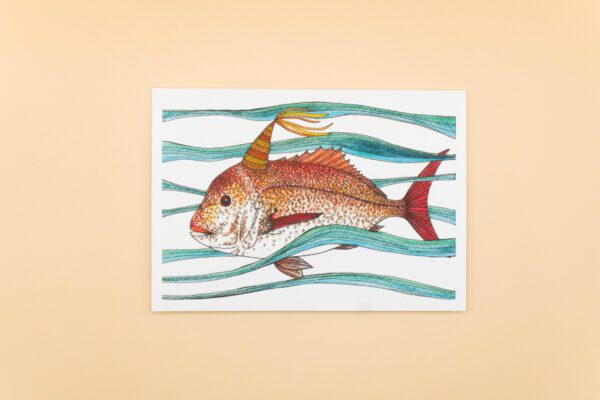 Snapper