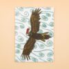 Wedge-Tailed Eagle