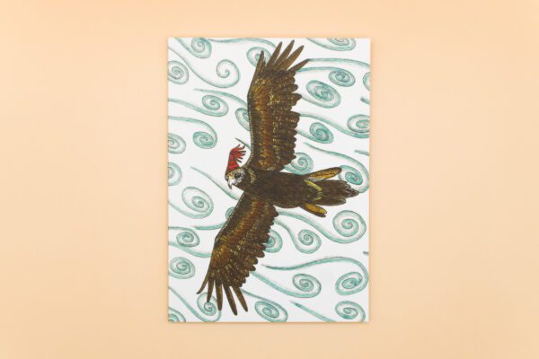 Wedge-Tailed Eagle