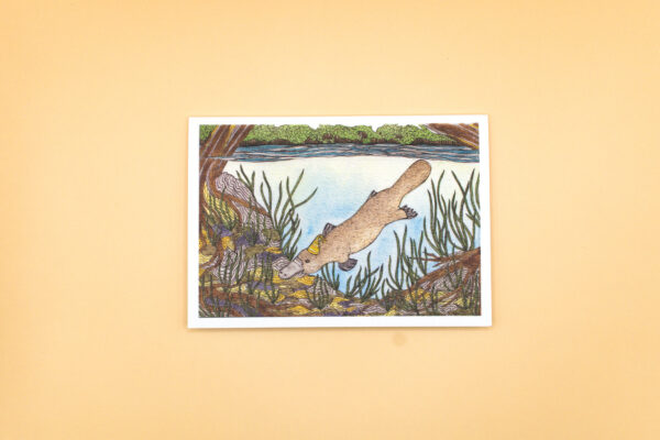 Platypus