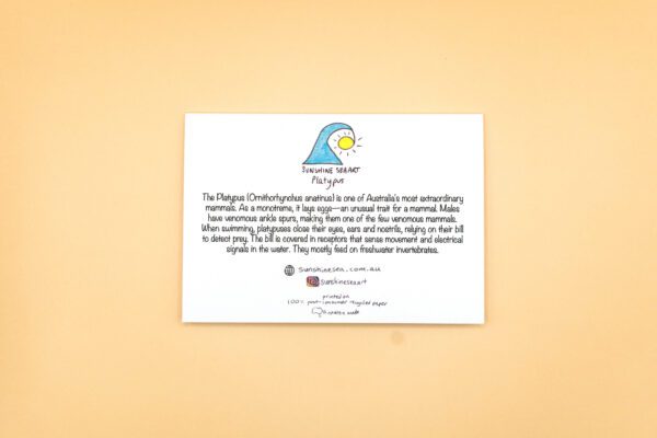 Platypus - Image 2