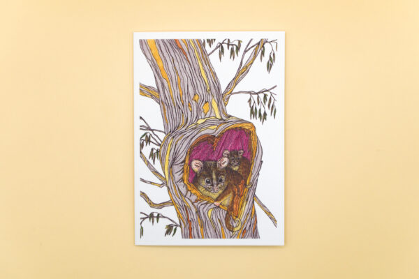 Eastern Ringtail Possum