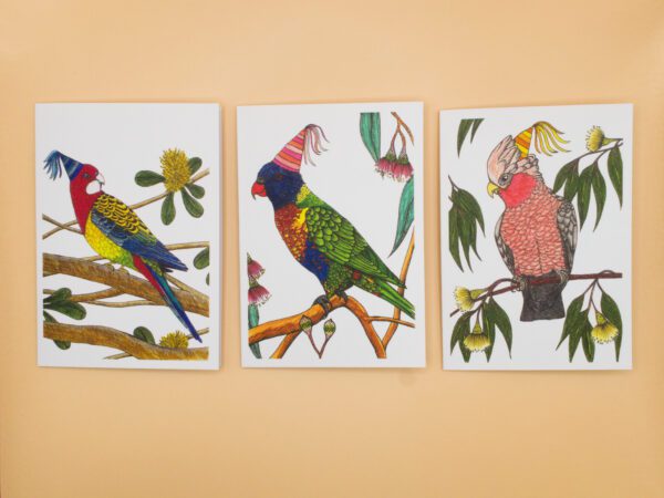 6-pack Backyard Bird Birthday Bundle - Image 3