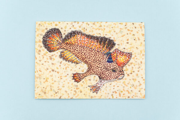 Spotted Handfish