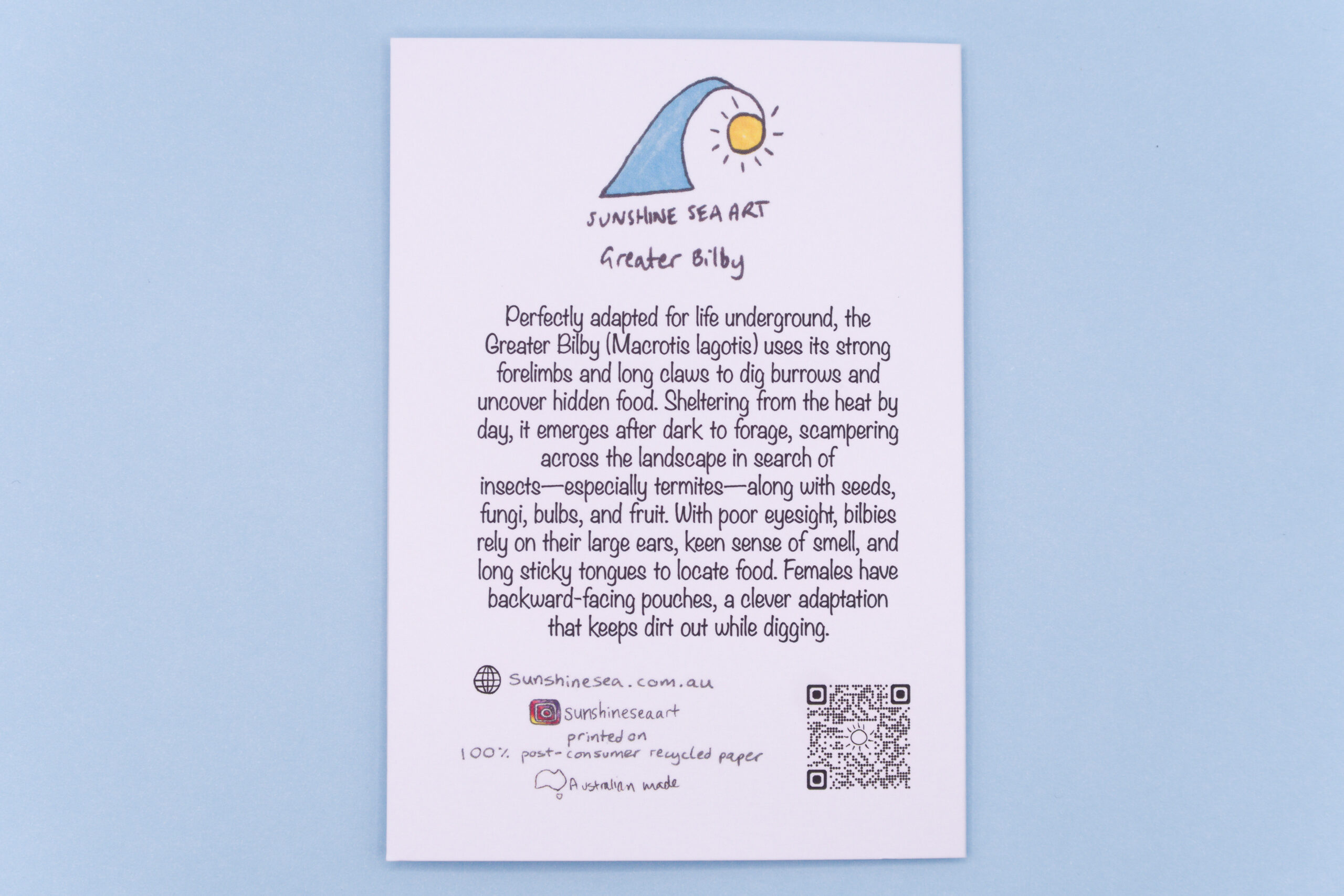 Greater Bilby - Image 2