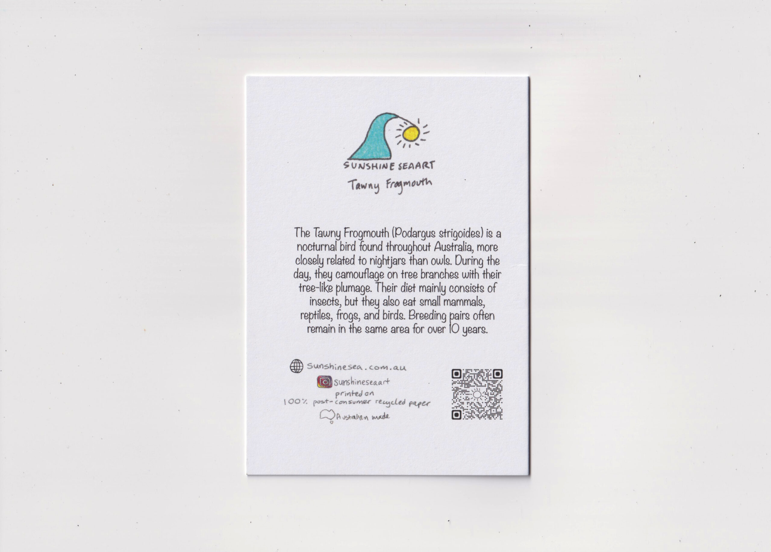 Tawny Frogmouth New Design - Image 2