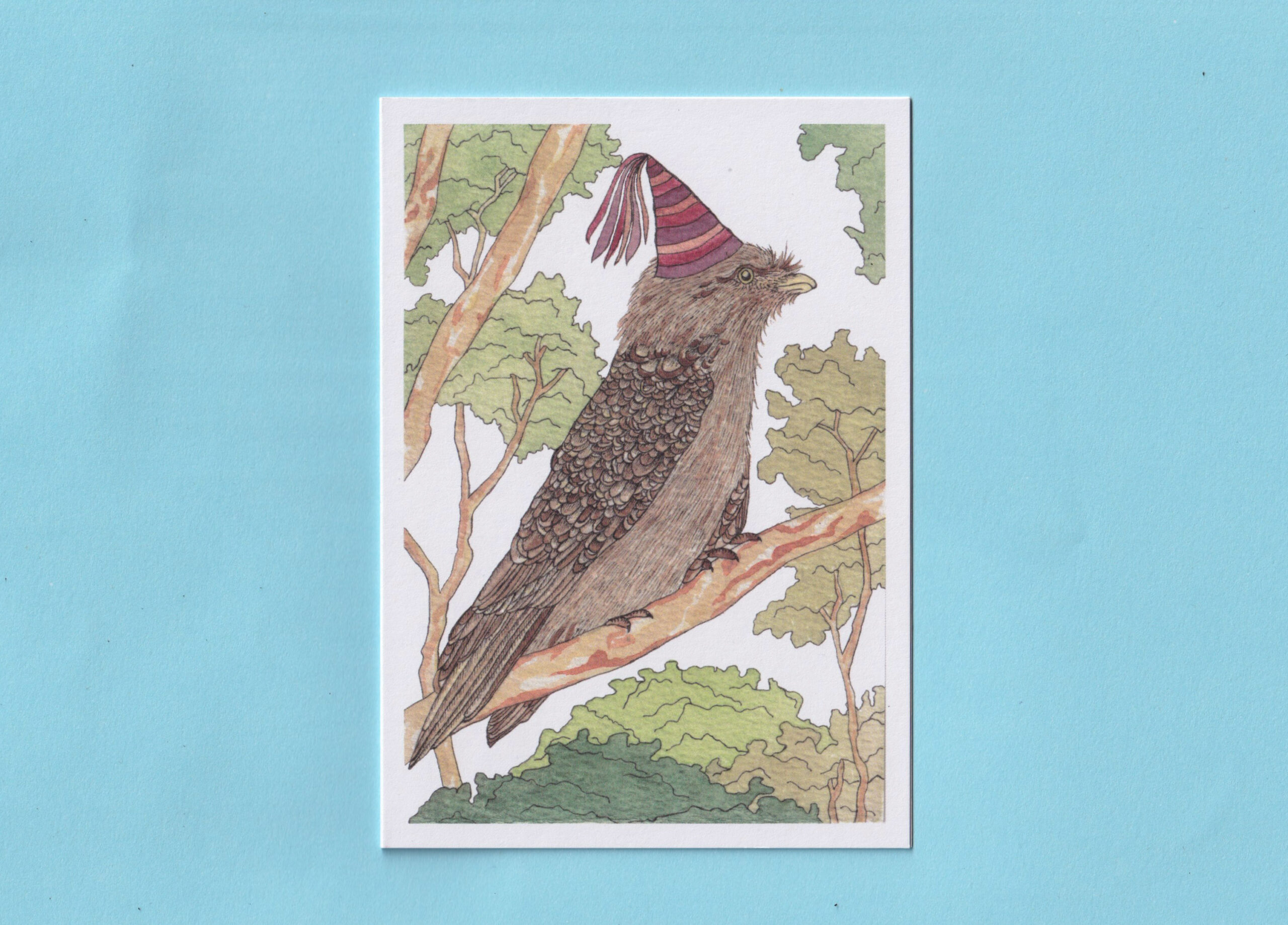 Tawny Frogmouth New Design